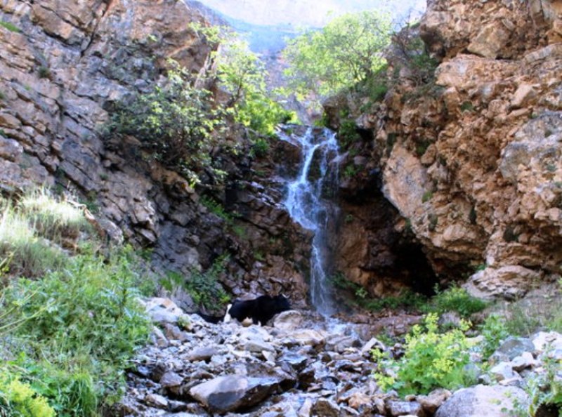 دیدنی های جاده چالوس