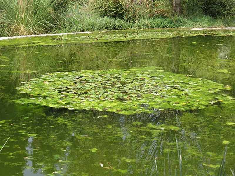 دیدنی های جاده چالوس