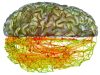 نگاهی به شبکه‌ های عصبی و طرز کار آنها - فناوری