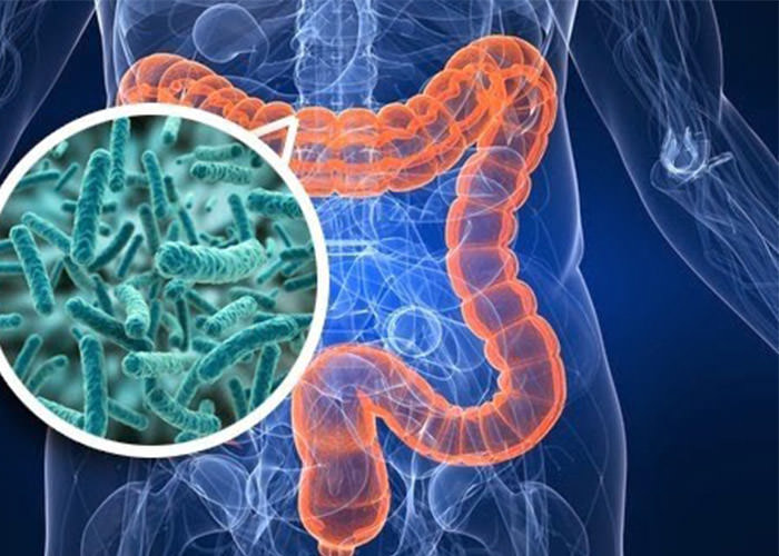 چه تعداد از سلول‌های بدن شما، سلول انسانی نیستند؟