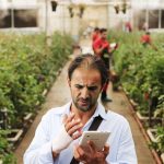 اکران فیلم سینمایی « شعله‌ور» با بازی امین حیایی از 24 مرداد