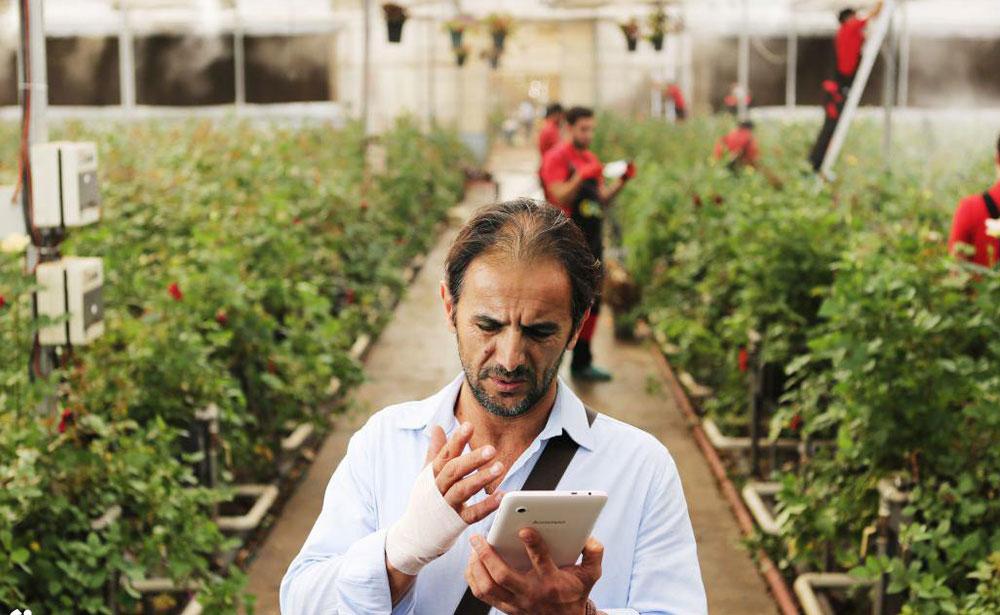 اکران فیلم سینمایی « شعله‌ور» با بازی امین حیایی از 24 مرداد