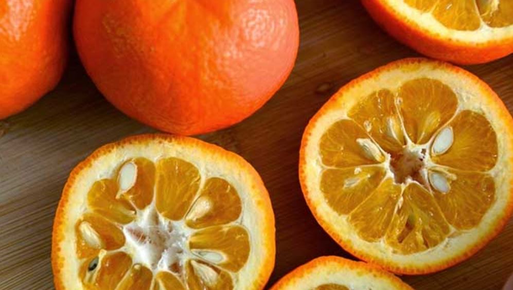 تعبیر خواب نارنج