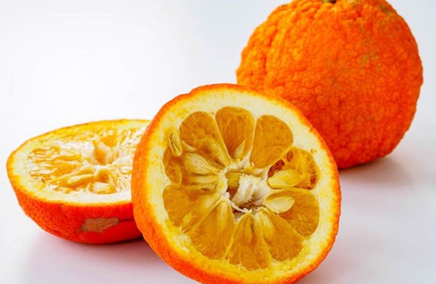 تعبیر خواب نارنج