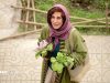 اکران فیلم های فوق العاده روز هفتم از سی و هفتمین جشنواره فجر
