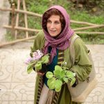 اکران فیلم های فوق العاده روز هفتم از سی و هفتمین جشنواره فجر