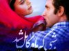 پوستر شبی که ماه کامل شد رونمایی شد