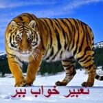 تعبیر خواب ببر