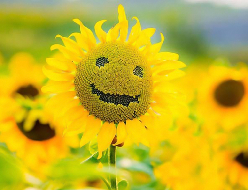 نکات مثبت بدبختی و مصیبت