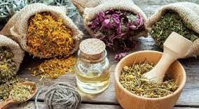 داروهای گیاهی طب سنتی در درمان درد قاعدگی