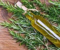 فواید رزماری برای پوست
