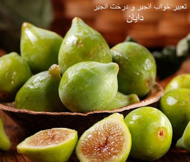 تعبیر خواب انجیر و درخت انجیر