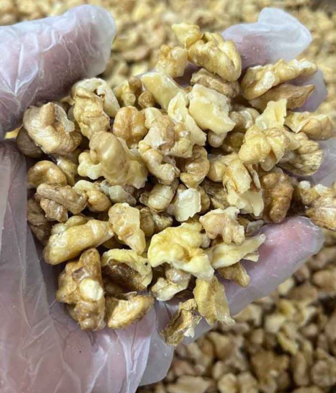 تعبیر خواب گردو تعبیر خواب گردو