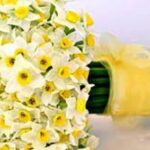 تعبیر خواب گل نرگس