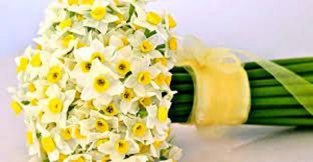 تعبیر خواب گل نرگس