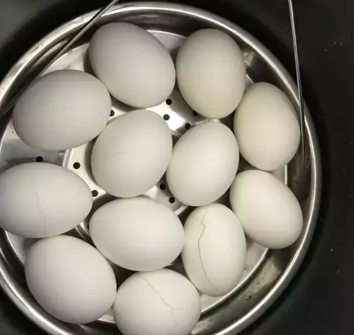 تعبیر خواب تخم برای زن متاهل