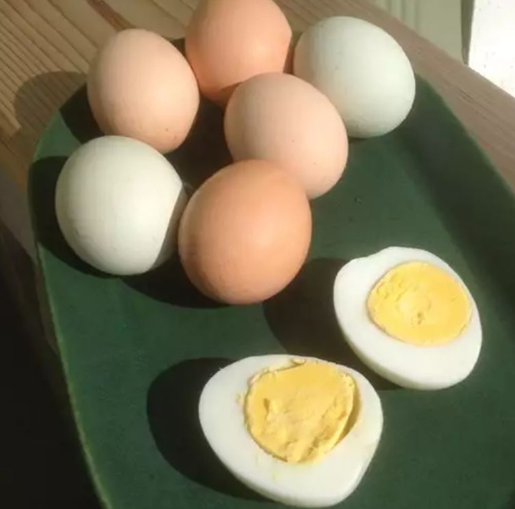 تعبیر خواب تخم مرغ