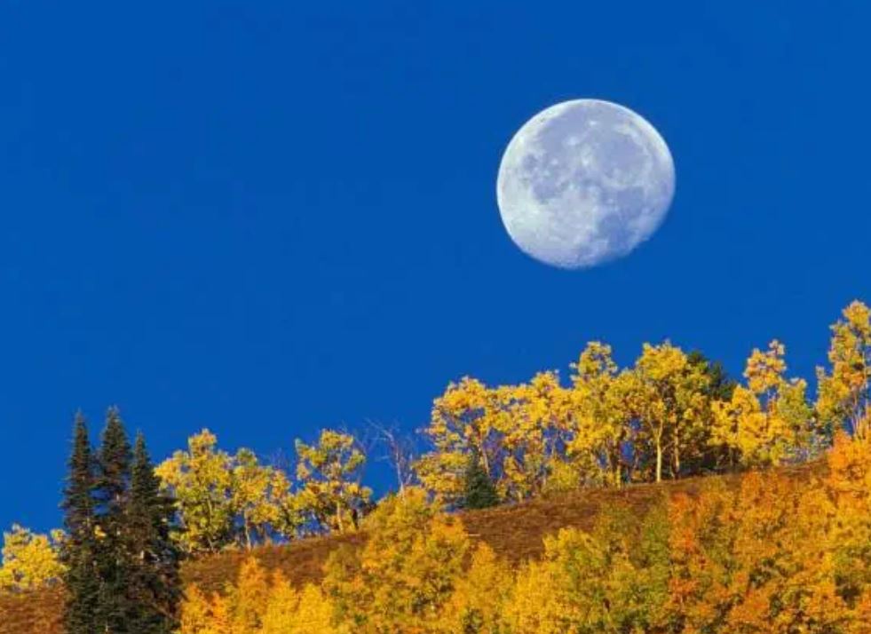 تعبیر خواب ماه