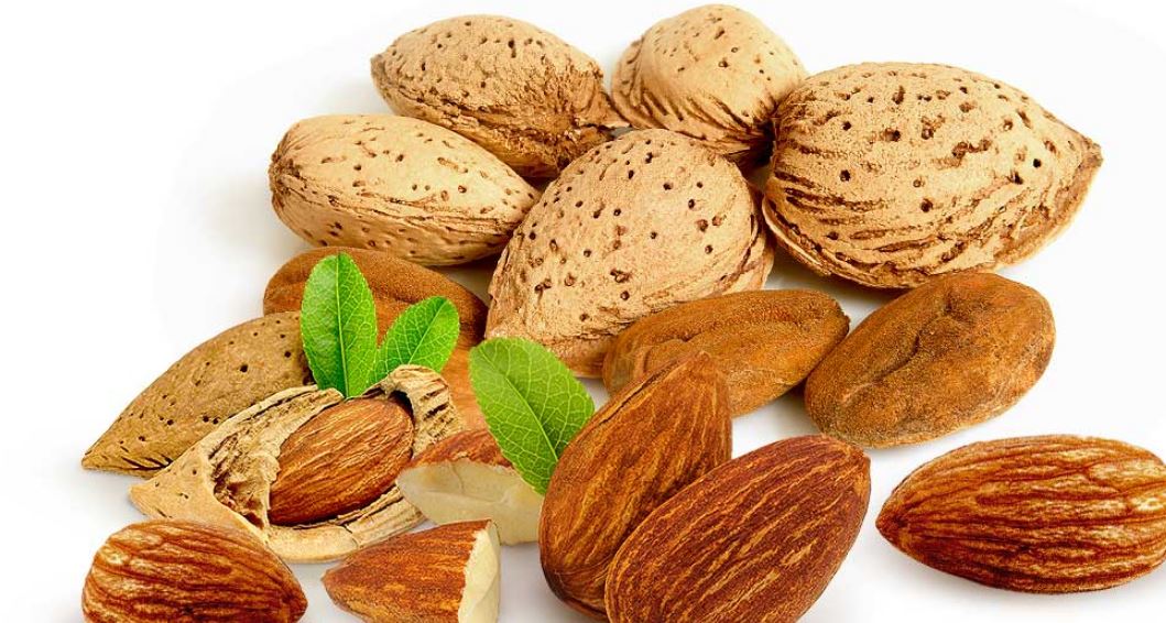 تعبیر خواب بادام تعبیر خواب بادام