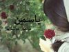 معرفی رمان یاسمین اثر م. مودب پور