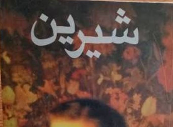 معرفی و خلاصه رمان شیرین اثر م. مودب پور؛ داستان، شخصیتها و نقد کتاب 2 کتاب شیرین مودب پور