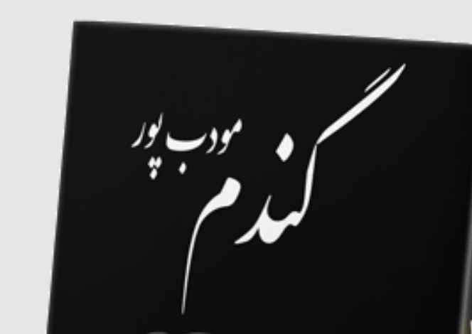 رمان گندم رهایش تعداد صفحات