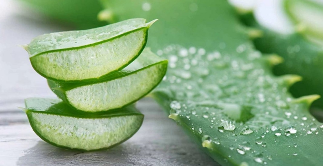 تقویت ابرو با ژل آلو ورا تقویت ابرو با ژل آلو ورا