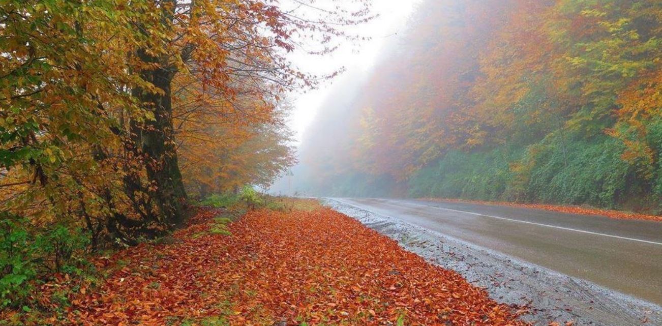تعبیر خواب پاییز برای دختر مجرد
