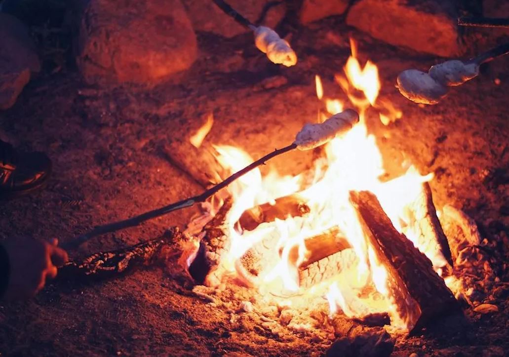 تعبیر خواب آتش