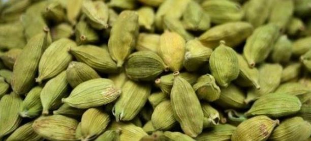 تعبیرخواب هل
