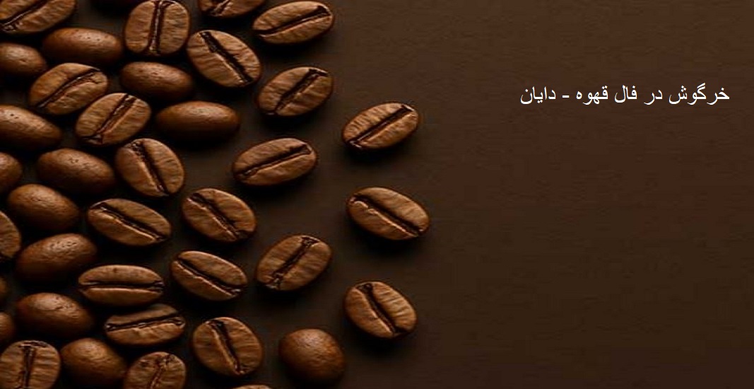 خرگوش در فال قهوه