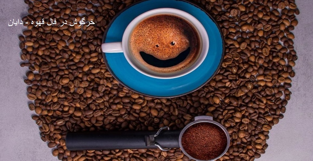 خرگوش در فال قهوه