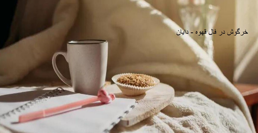 خرگوش در فال قهوه