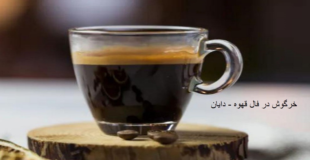 خرگوش در فال قهوه