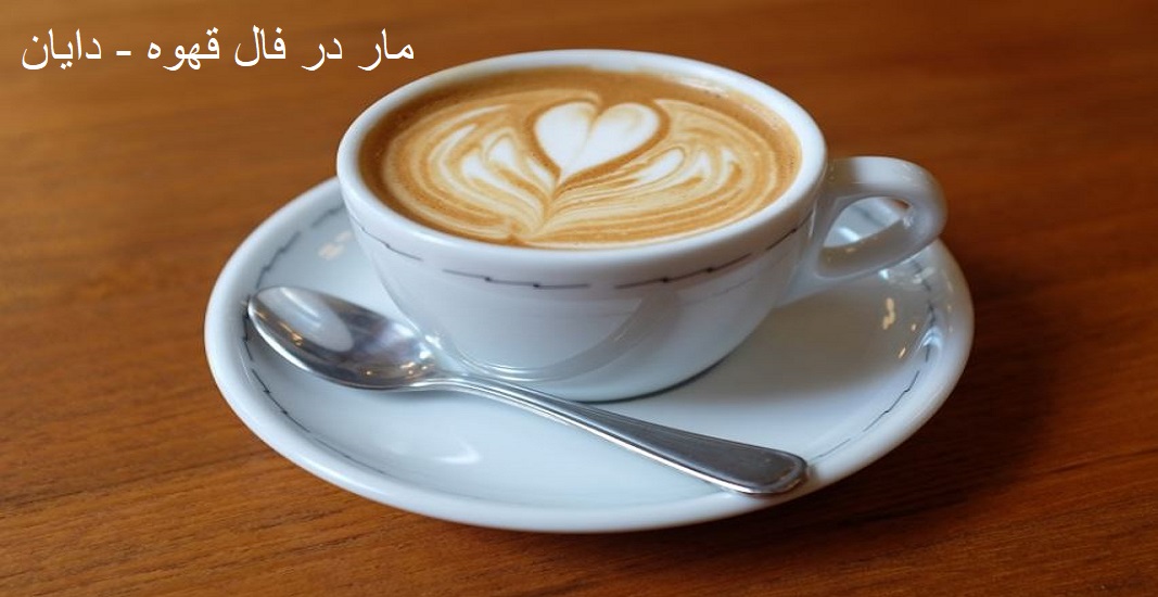 مار در فال قهوه مار در فال قهوه