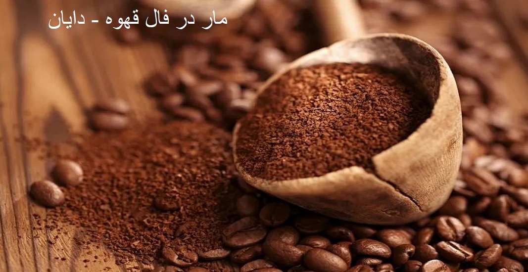 مار در فال قهوه مار در فال قهوه