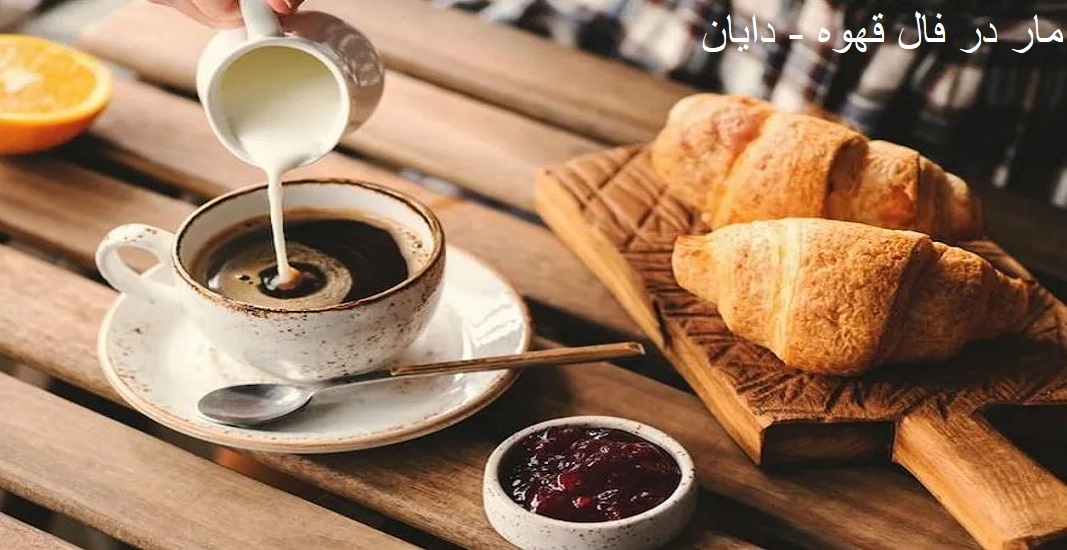 مار در فال قهوه مار در فال قهوه