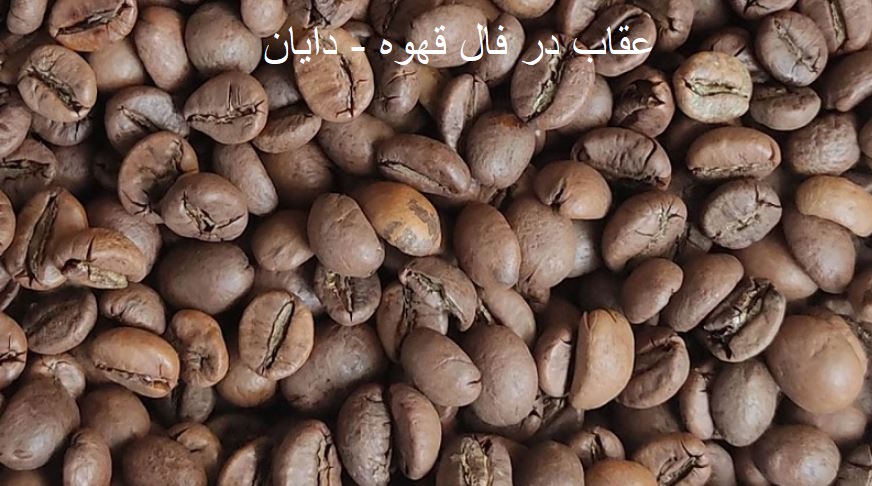 عقاب در فال قهوه 