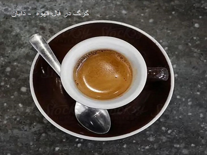 گرگ در فال قهوه 