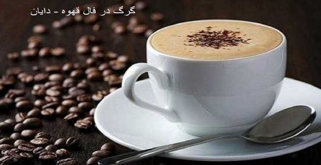 گرگ در فال قهوه 