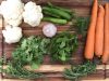 سبزی ترشی, انواع سبزی ترشی, ترشی, طرز تهیه ترشی, سبزی معطر
