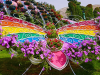 هرآنچه که باید از باغ پروانه‌های دبی(Butterfly Garden) بدانید