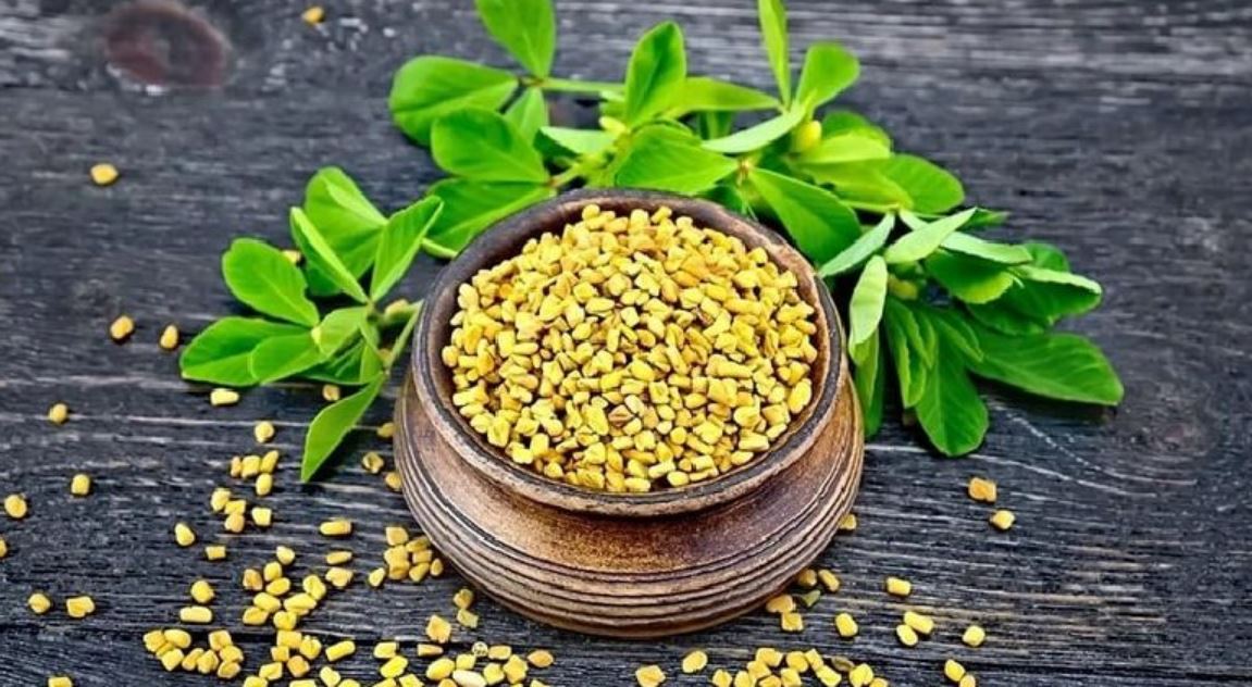 تعبیر خواب شنبلیله تعبیر خواب شنبلیله