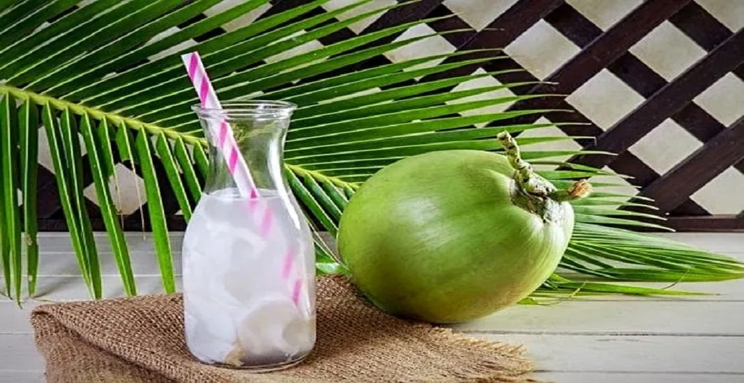 رفع عطش آب نارگیل تازه