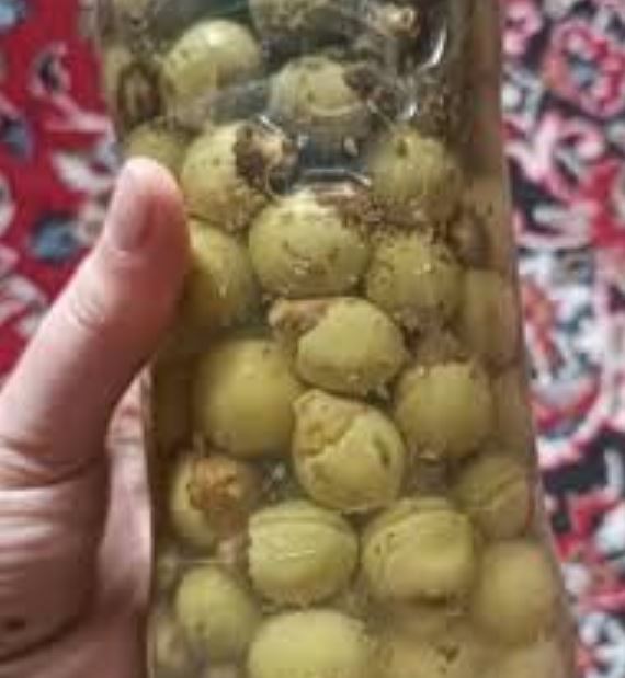 طرز تهیه ترشی سپستون خوشمزه و مقوی 5 طرز تهیه ترشی سپستان