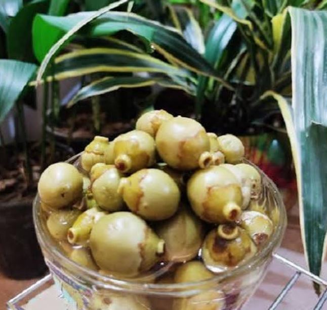 طرز تهیه ترشی سپستون خوشمزه و مقوی 6 طرز تهیه ترشی سپستون