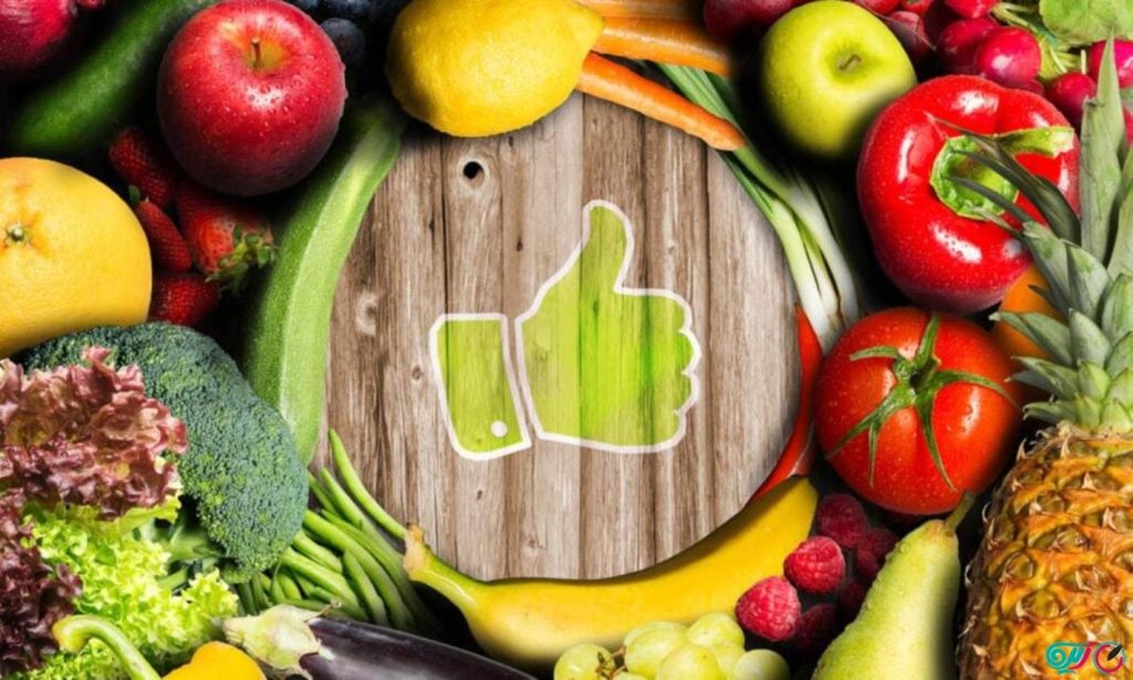 رژیم جنرال موتورز چیست؟ 3 رژیم جنرال موتورز