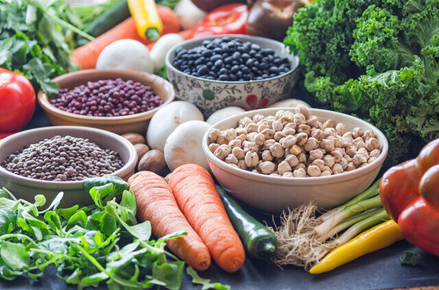 رژیم پالئولیتیک