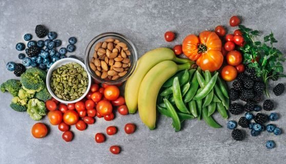 رژیم پالئولیتیک