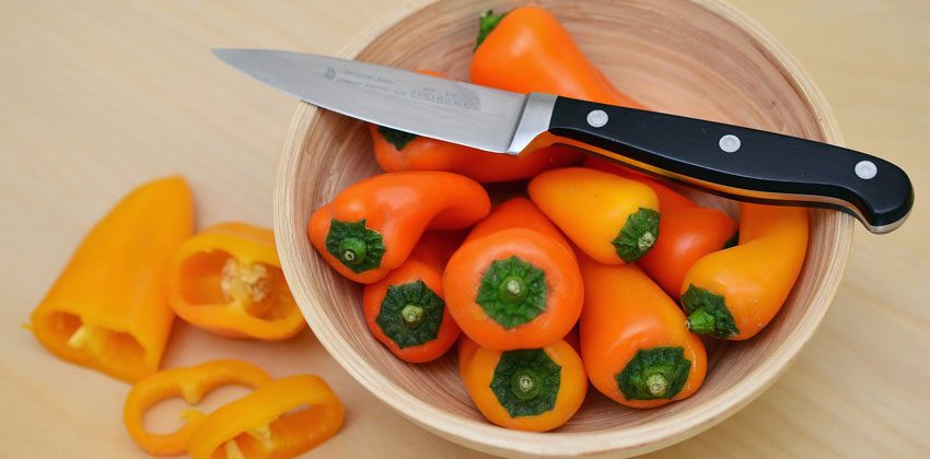 رژیم لاغری جنگجو